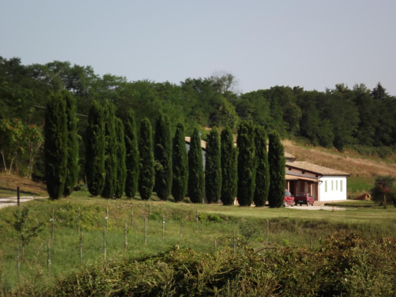 Hotel Casale Arcadia Orvieto Esterno foto